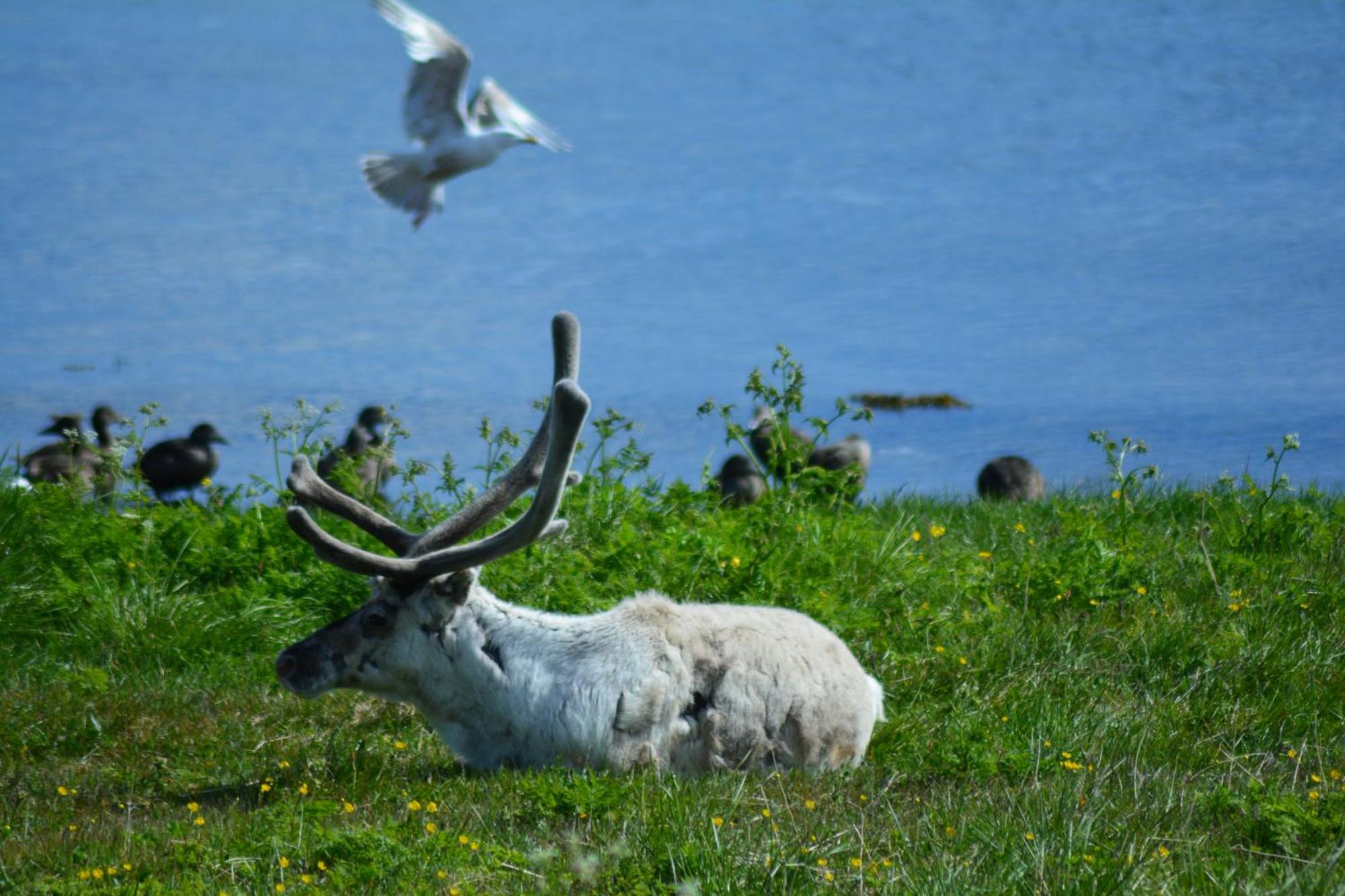 Arctic Hotel Nordkapp Honningsvåg Εξωτερικό φωτογραφία
